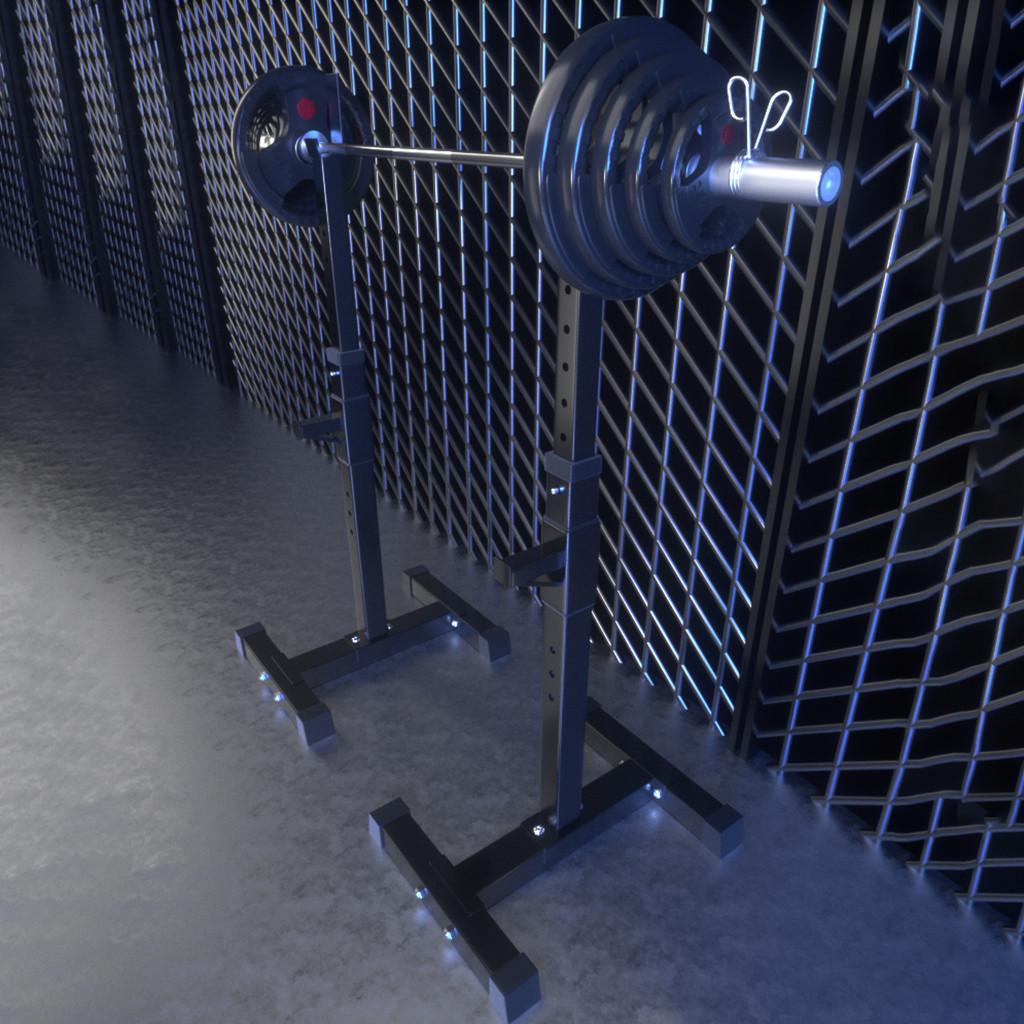 Yotoy Adjustable Squat Rack Dipping Station Barbell Rack Dip Stand Fitness Bench