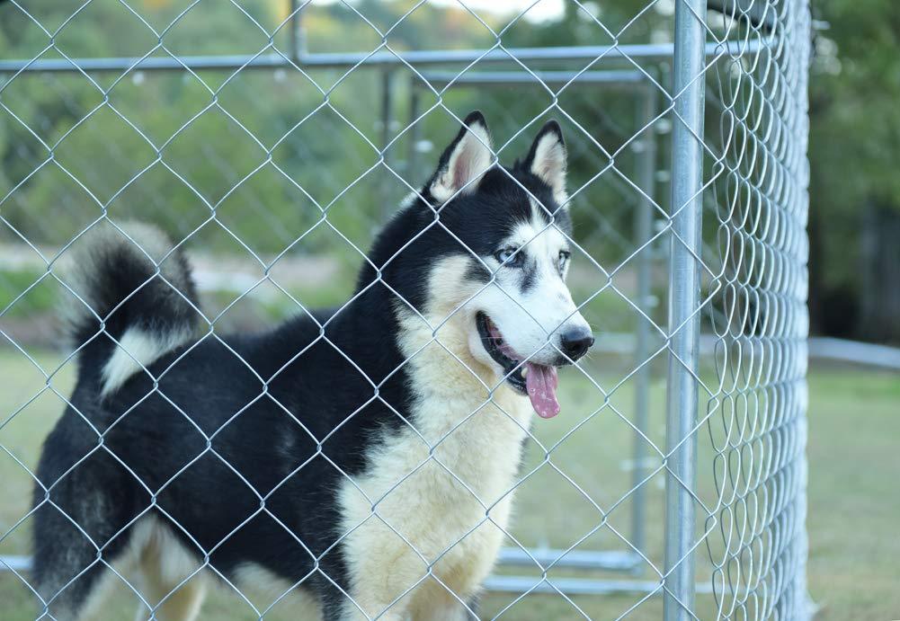 Kullavik 7.5' x 7.5' x 5' Dog Kennel Backyard Pet CaGalvanized Chain Link Crate Dog House LarPen Fence,with Black Weather Proof Roof Cover