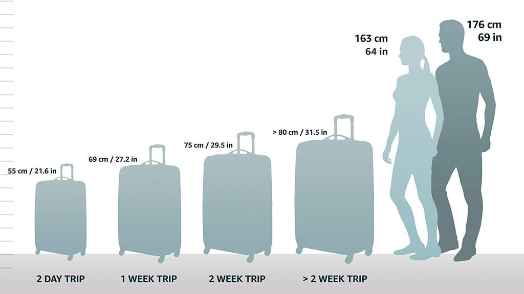 Baseline-Softside Carry-On 2-Wheel Garment Bag, Black, One SIze
