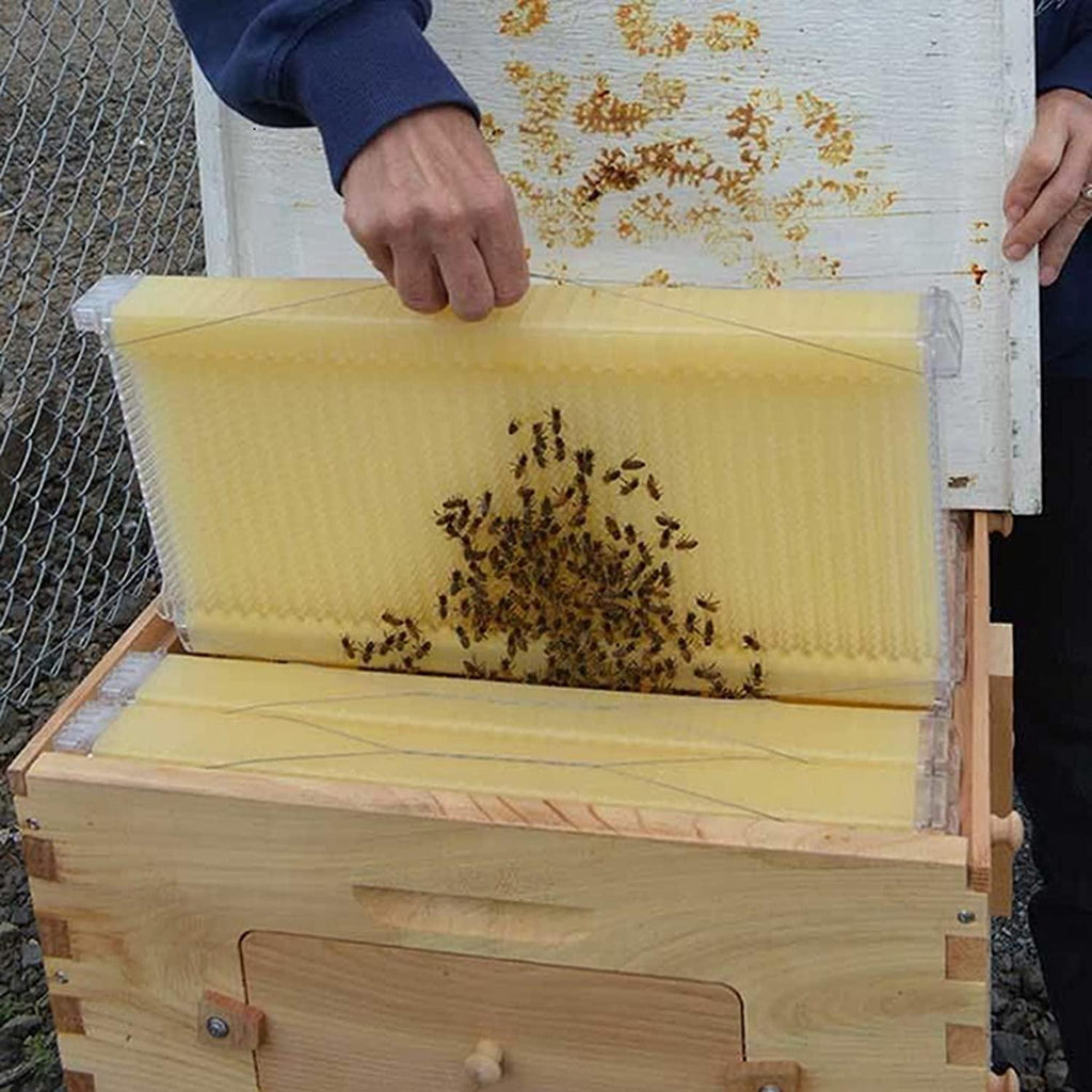 wooden beehive box with 7pcs auto honey frames comb beekeeping honey keeper for beekeepers starter kit tool,7 beehives