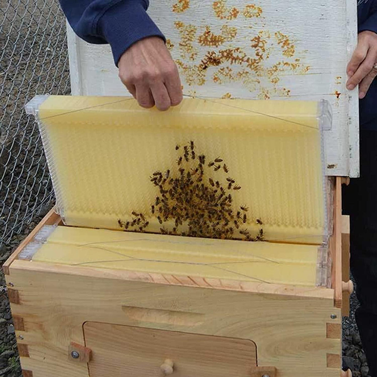 wooden beehive box with 7pcs auto honey frames comb beekeeping honey keeper for beekeepers starter kit tool,7 beehives