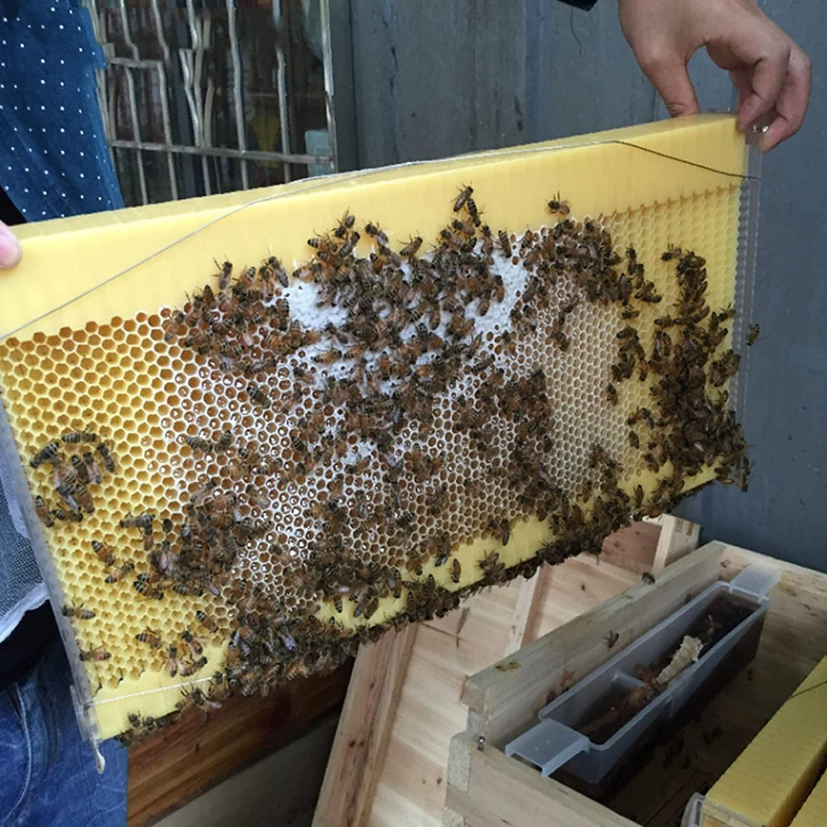 wooden beehive box with 7pcs auto honey frames comb beekeeping honey keeper for beekeepers starter kit tool,7 beehives