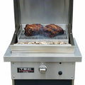 TEC Stainless Steel Patio Fr Series Infrared Smoker / Roaster - PFRSMKR