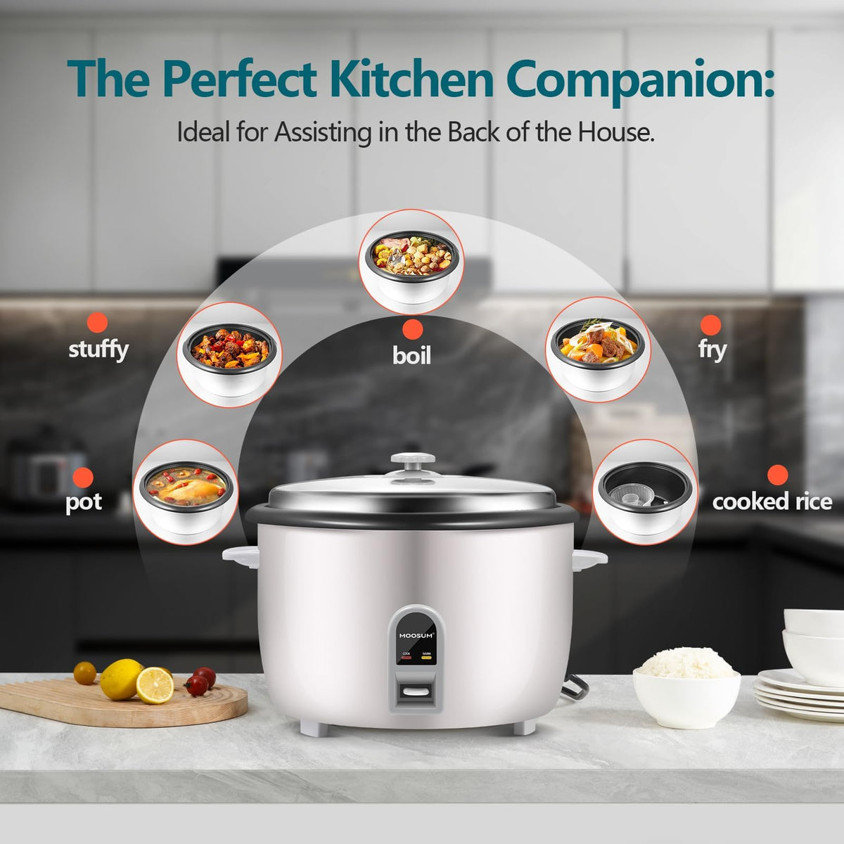 Commercial Rice Cooker, LarCapacity 30-Cup (UnCooked), 60-Cup (Cooked) with One Touch Operation and 12-Hour Keep Warm, Easy to Use and clean, 1600W, White