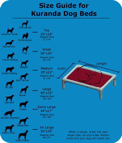 Kuranda Dog Bed - Chewproof - All Aluminum (Silver) - Indoor/Outdoor - Elevated Provides Traction - Orthopedic - Best for Sensitive Skin - Cordura Fabric