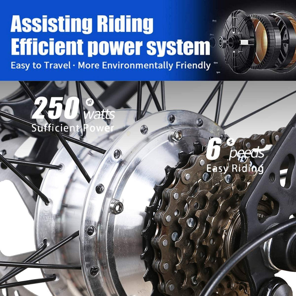26" 250W Cargo Electric Bicycle 6-Gear Speed Sporting Ebike 36V10A Lithium Battery -Class AAA(Black)