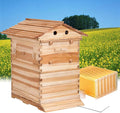 adasea flow hive, auto flow beehive, beekeeping wooden house with 7 pcs auto honey beehive frame, food grade bpa free (beehive frame+wooden box)