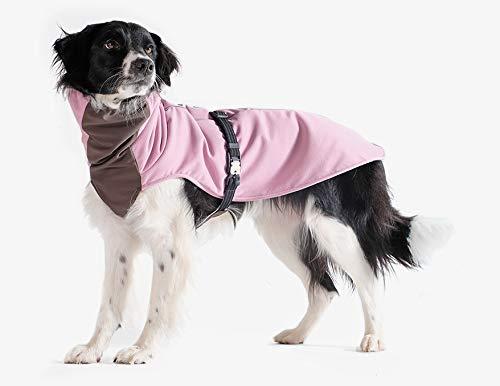 XIAOXIAN Dog Lion Dance Clothes Pet Dragon Dance Funny Little LarDog Teddy Year Cat Dog (Size : S)