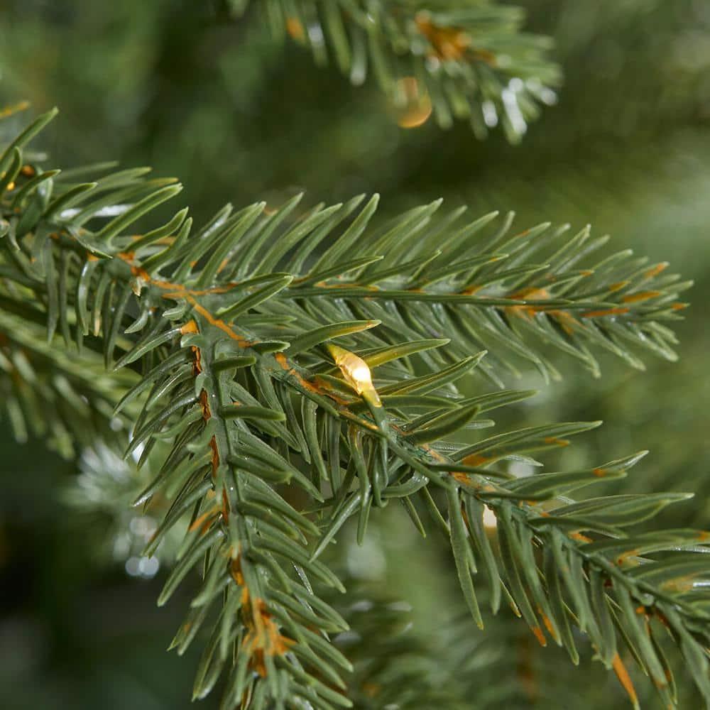 9 ft Jackson Noble Fir Christmas Tree