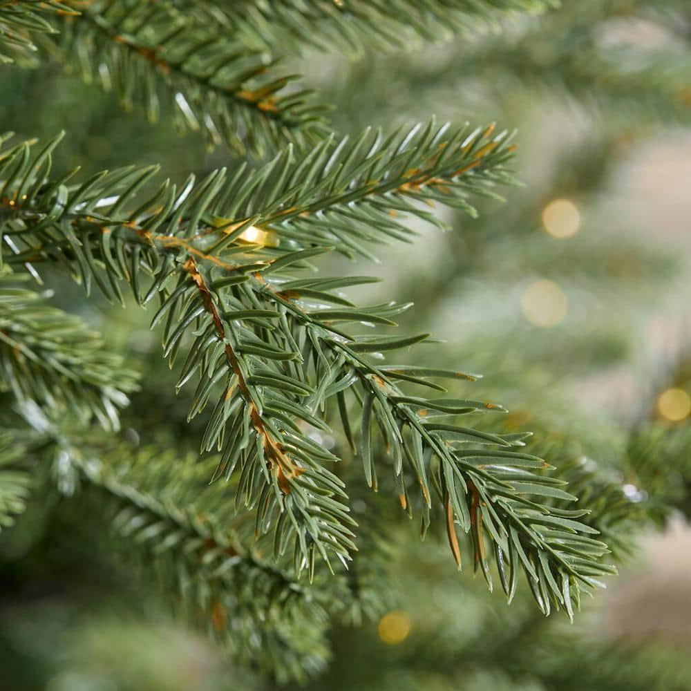 9 ft Jackson Noble Fir Christmas Tree