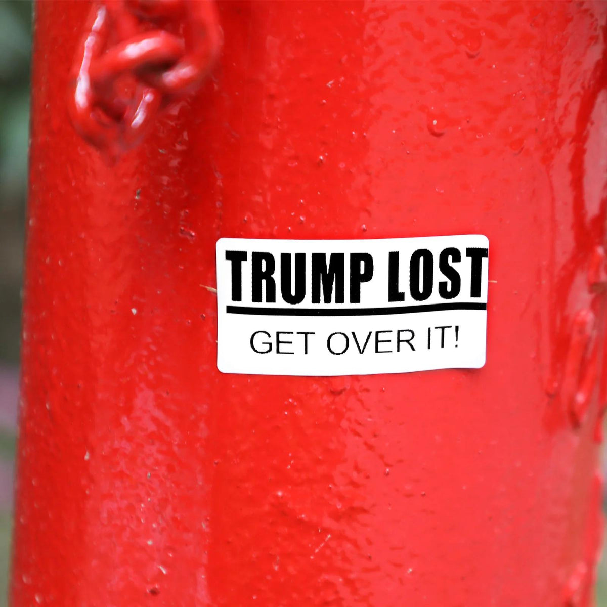 "TRUMP LOST GET OVER IT" 50 Pack Political Stickers Decals Election 2024 Generic
