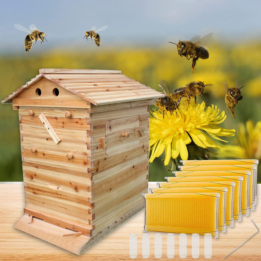 auto flow bee hive,beehive boxes with 7 pcs auto beehive frame,wooden beekeeping house,food grade bpa free(beehive frame+wooden box)
