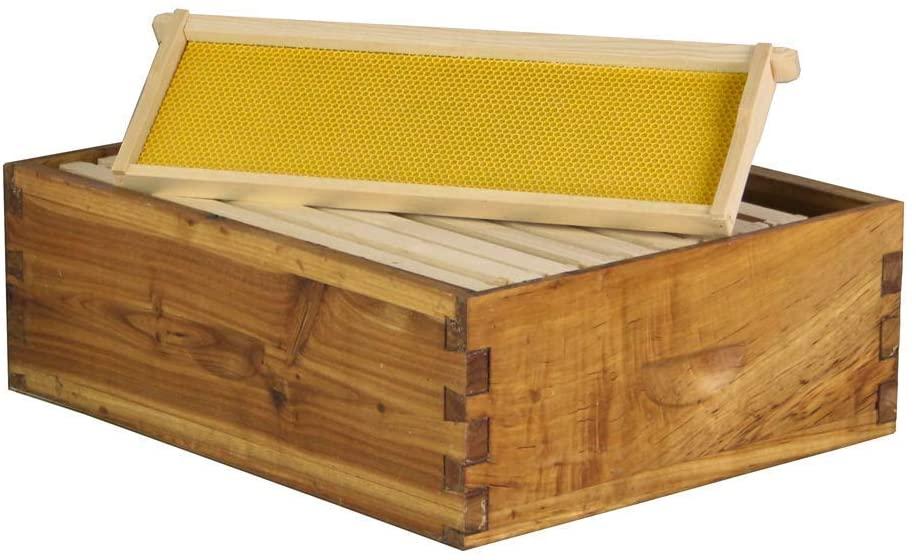 hoover hives 10 frame langstroth beehive dipped in 100% beeswax includes wooden frames &amp; waxed foundations (2 deep boxes, 1 medium box)(fully assembled)