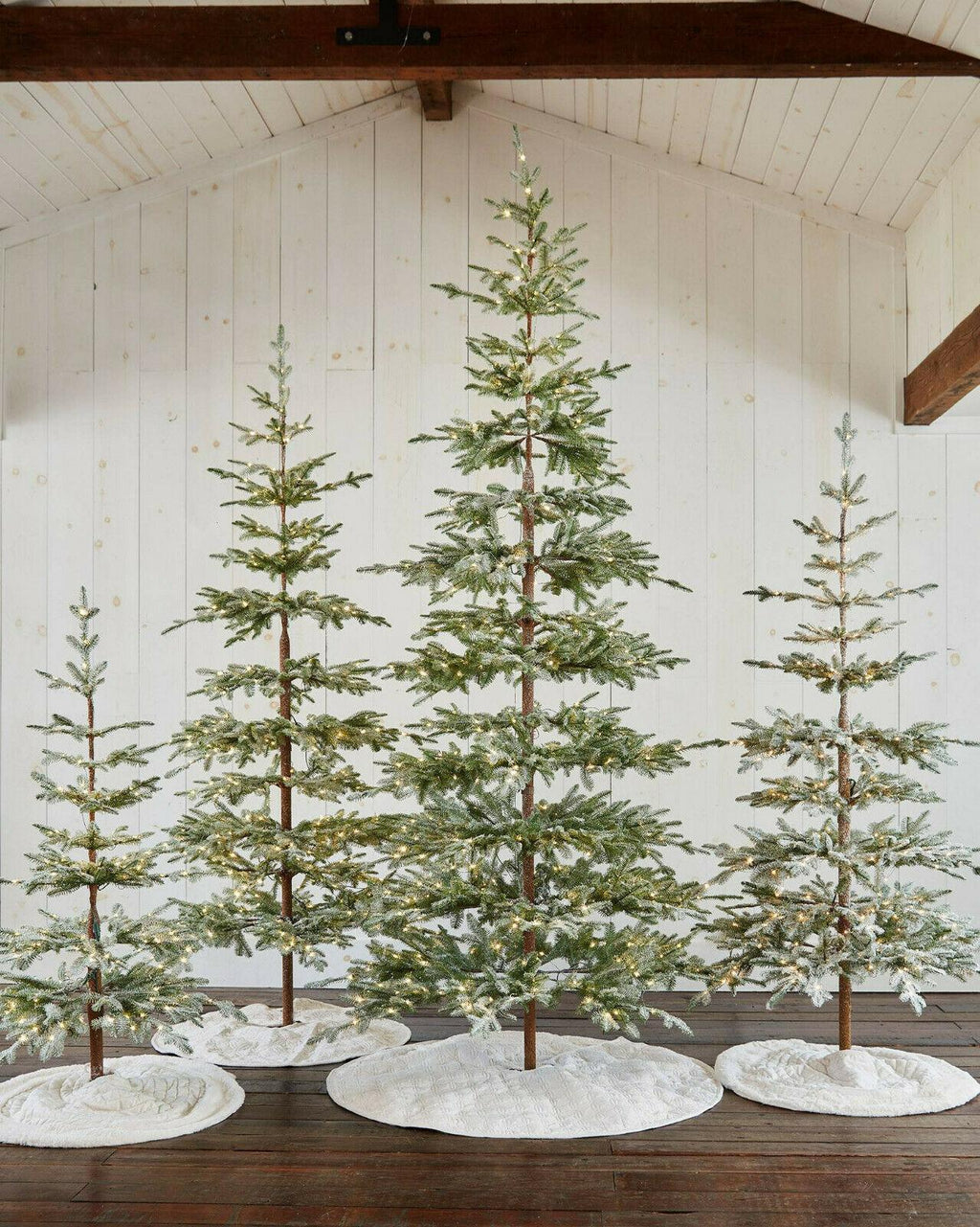 Frosted Alpine Balsam Fir 6.5 Ft Christmas Tree Clear LED  BALSAM HILL