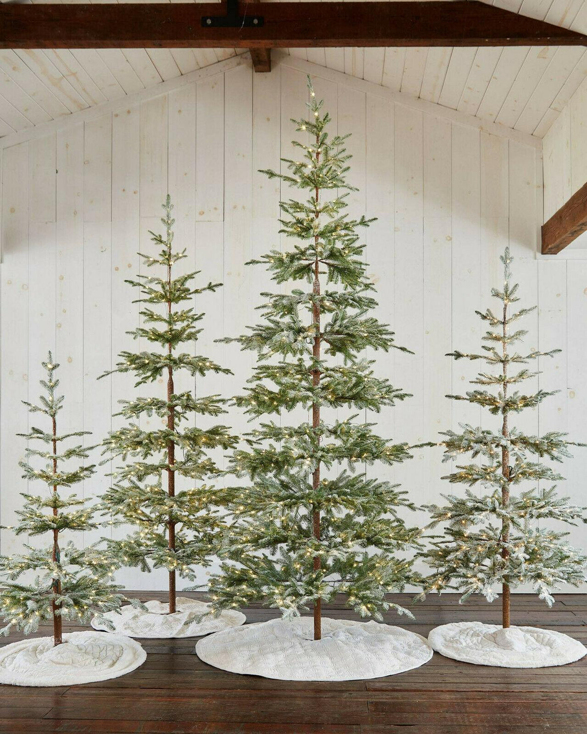 Frosted Alpine Balsam Fir 6.5 Ft Christmas Tree Clear LED  BALSAM HILL