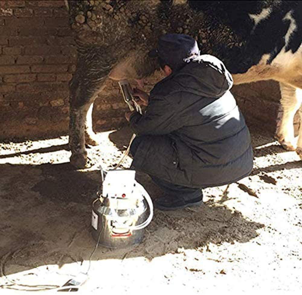 milking machines pulsation automatic - household goat milking supplies vacuum pump milk squeeze soft for nipples silicone hose and 304 stainless steel portable bucket 14l pulse equipment,forcattle