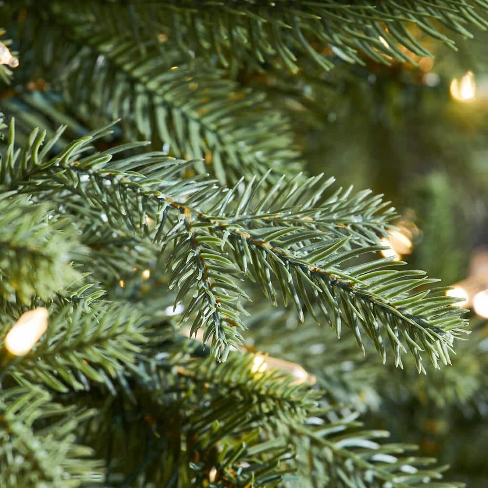 7.5 ft Ashton Balsam Fir Christmas Tree
