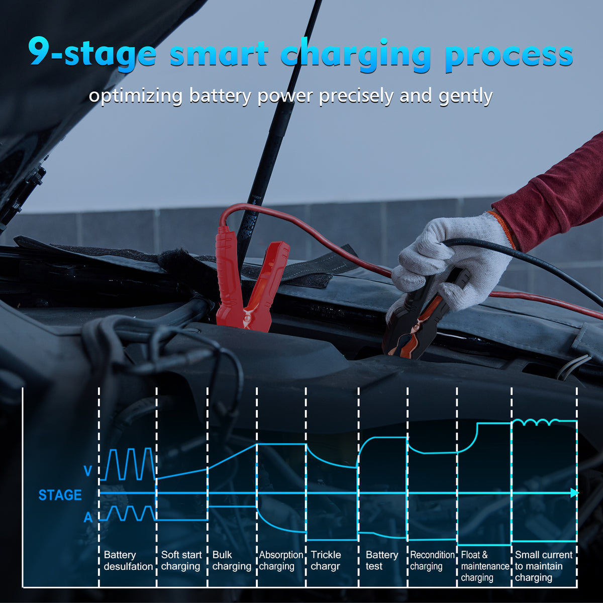 25 Amp Lithium Battery Charger, 12V And 24V Lifepo4,Lead-Acid(AGM/Gel/SLA) Battery Charger,Battery Maintainer, Trickle Charger, And Battery Desulfator