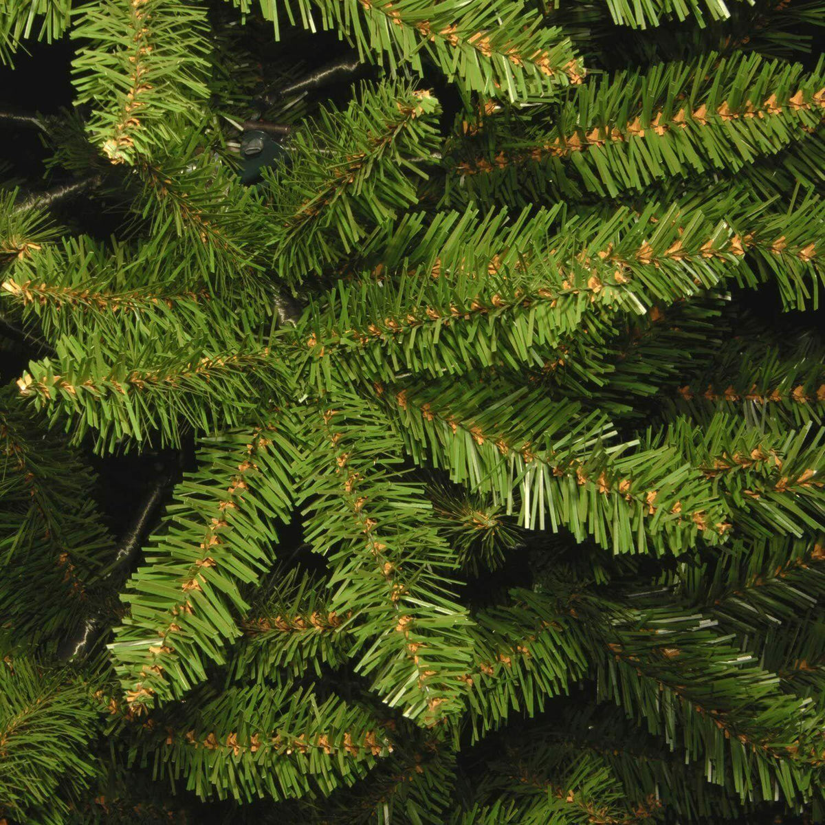 National Tree Company Kings7 Foot Slim Christmas Tree &amp; Color String Lights