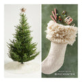 ANTHROPOLOGIE RORY VELVET KANTHA HEIRLOOM CHRISTMAS TREE SKIRT &amp; STOCIVORY