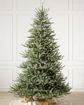 40% Balsam Hill Christmas Tree Sanibel Spruce Tree Candlelight Clear LED