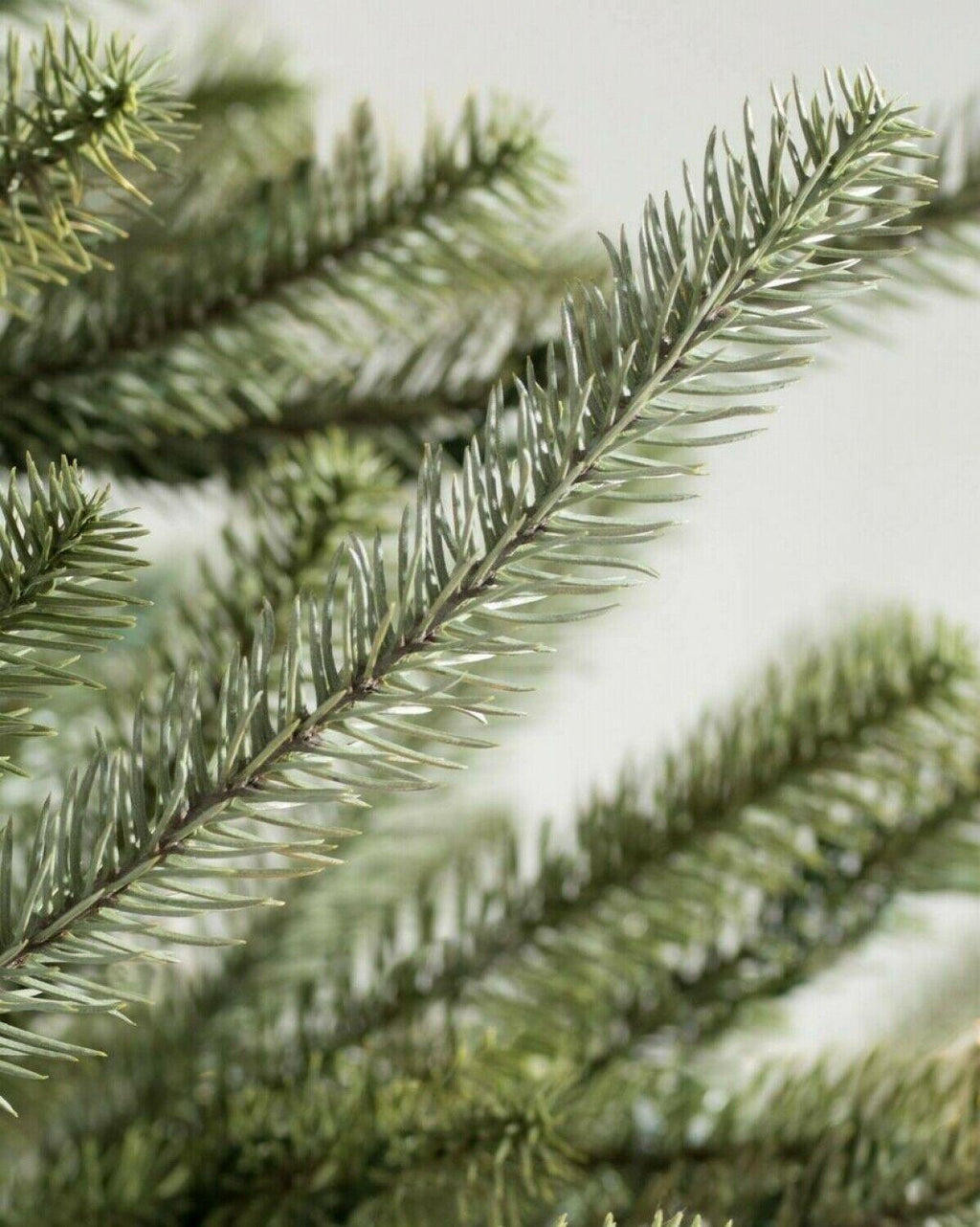 40% Balsam Hill Christmas Tree Sanibel Spruce Tree Candlelight Clear LED