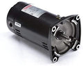 Pentair AE100CHL 1/2 HP Motor Replacement Sta-Rite Inground Pool and Spa Pump