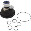 In-Floor Caretaker Valve, Zodiac