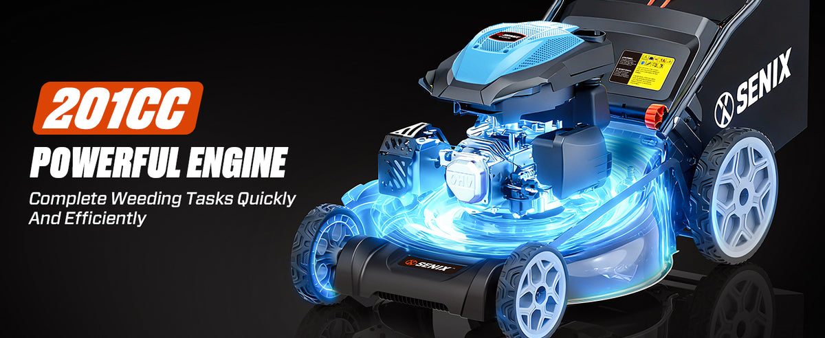 22 Inch 3-in-1 Gas Lawn Mower, 201cc Rear Wheel Single Speed Self-Propelled Mower, 4-Cycle Engine, Steel Deck, Mulching, Bagging, Discharging, 6-Position Cutting Height Adjustable, for Yard