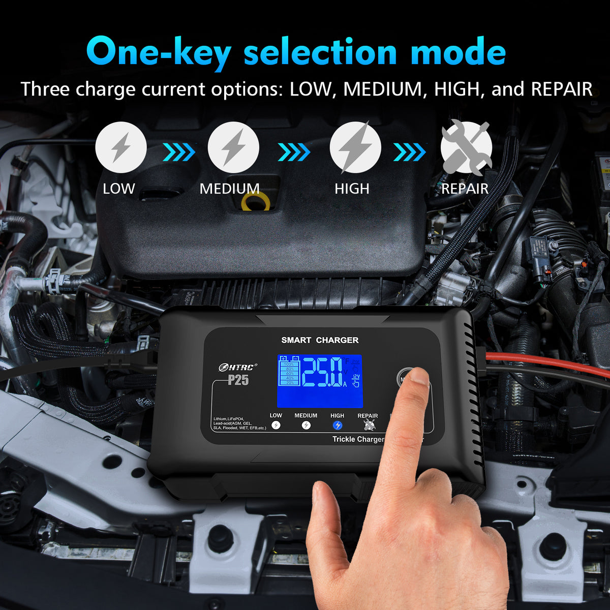 25 Amp Lithium Battery Charger, 12V And 24V Lifepo4,Lead-Acid(AGM/Gel/SLA) Battery Charger,Battery Maintainer, Trickle Charger, And Battery Desulfator