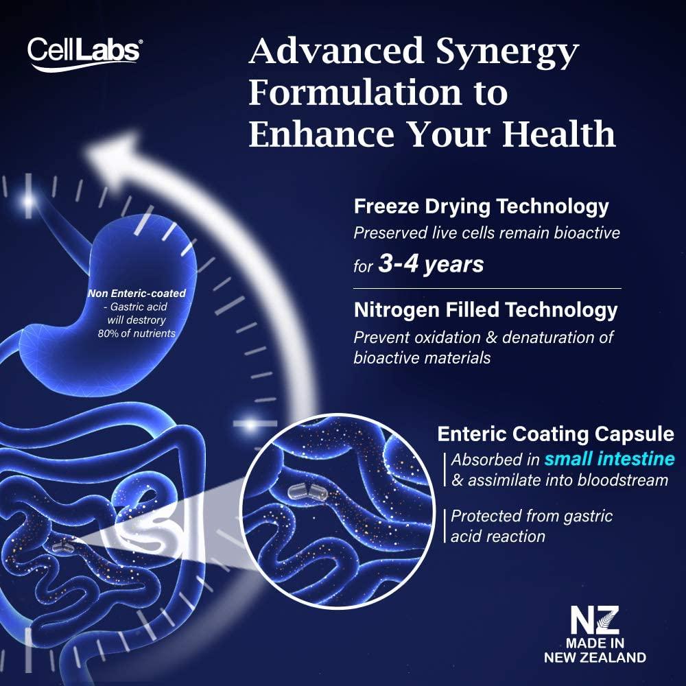 CellLabs Posh D-Centa Deer Placenta Live Stem Cell Therapy, Powerful Anti-Aging Formula, Cellular Repair & Energy Metabolism 12 in 1 Formulation with Marine Collagen, 60’s Capsule, 2 Months Supply