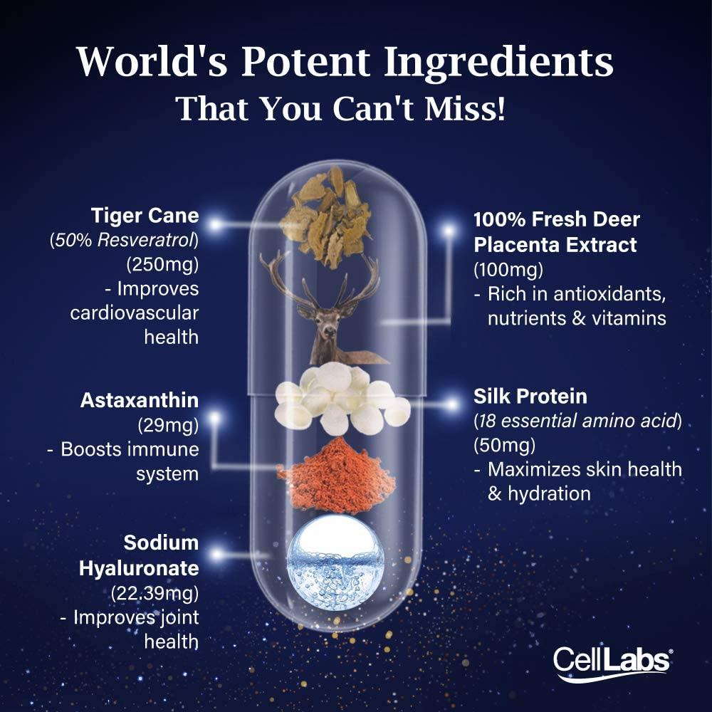 2 Packs CellLabs Posh D-Centa Deer Placenta Stemcell Supplement – High Antioxidants Functional Therapeutic Supplement, Resveratrol, For Immune Support, Skin Health, Well-Being 120 capsule for 4 Months