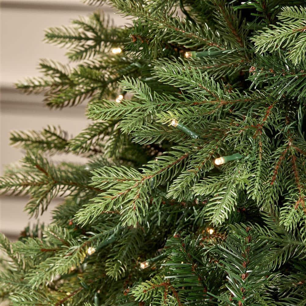 7.5 ft Eastcastle Balsam Fir