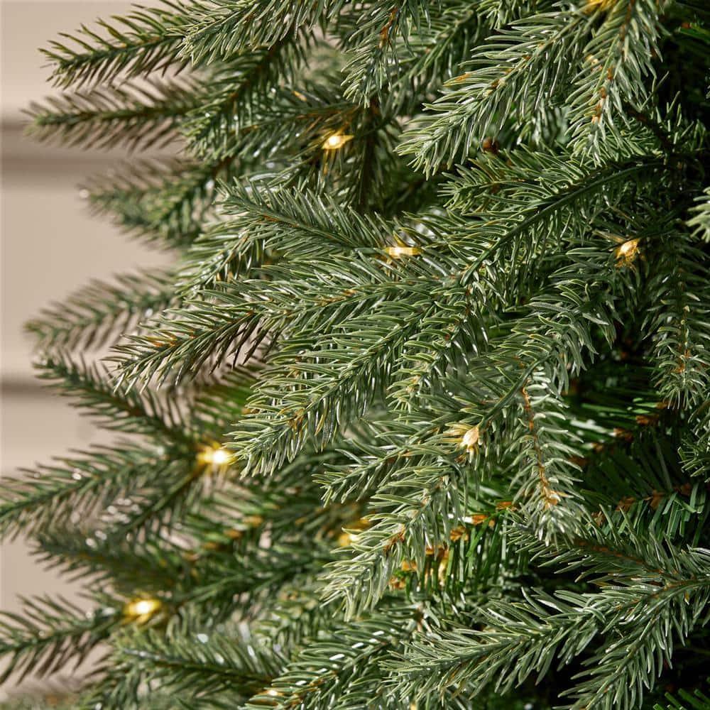 7.5 ft Jackson Noble Slim Christmas Tree