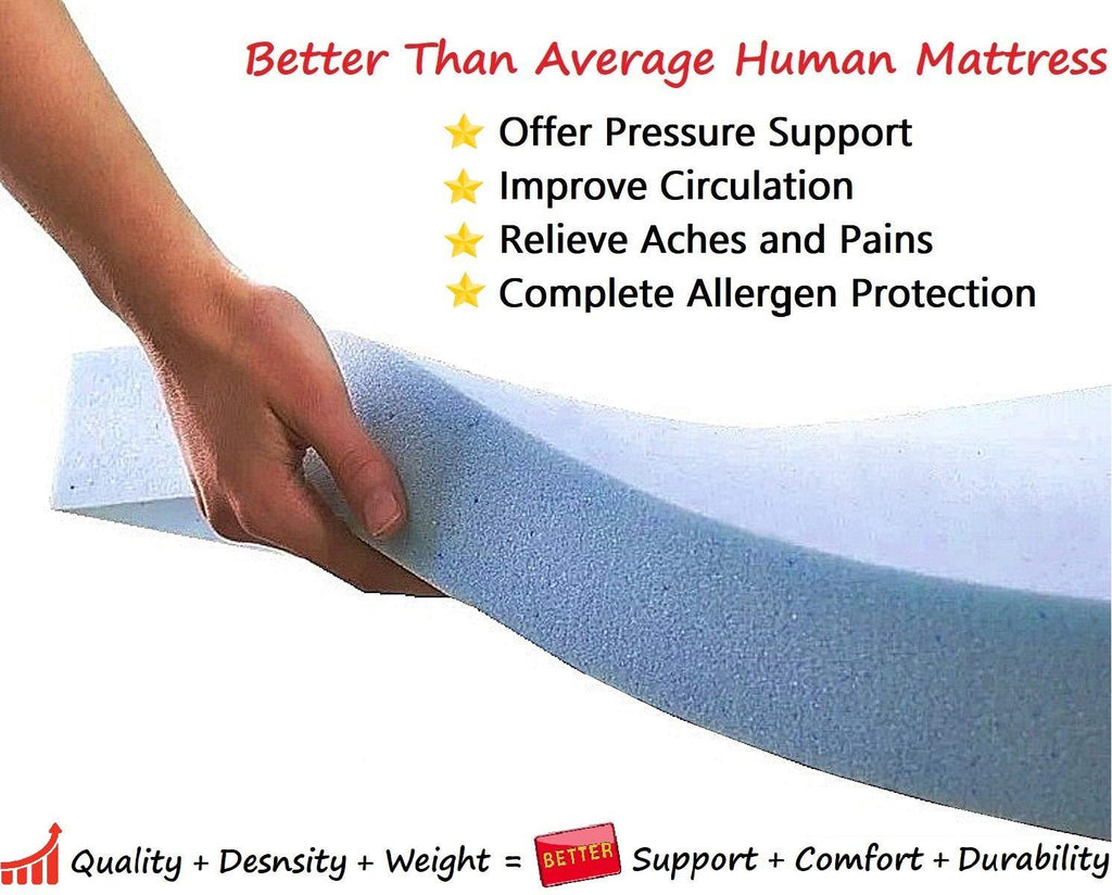 Dogbed4less Premium Orthopedic Memory Foam Dog Bed | Waterproof Liner, Washable Durable Canvas Cover and Bonus 2nd External Case, 7 Sizes