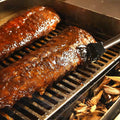 TEC Patio FR Series Infrared Smoker / Roaster