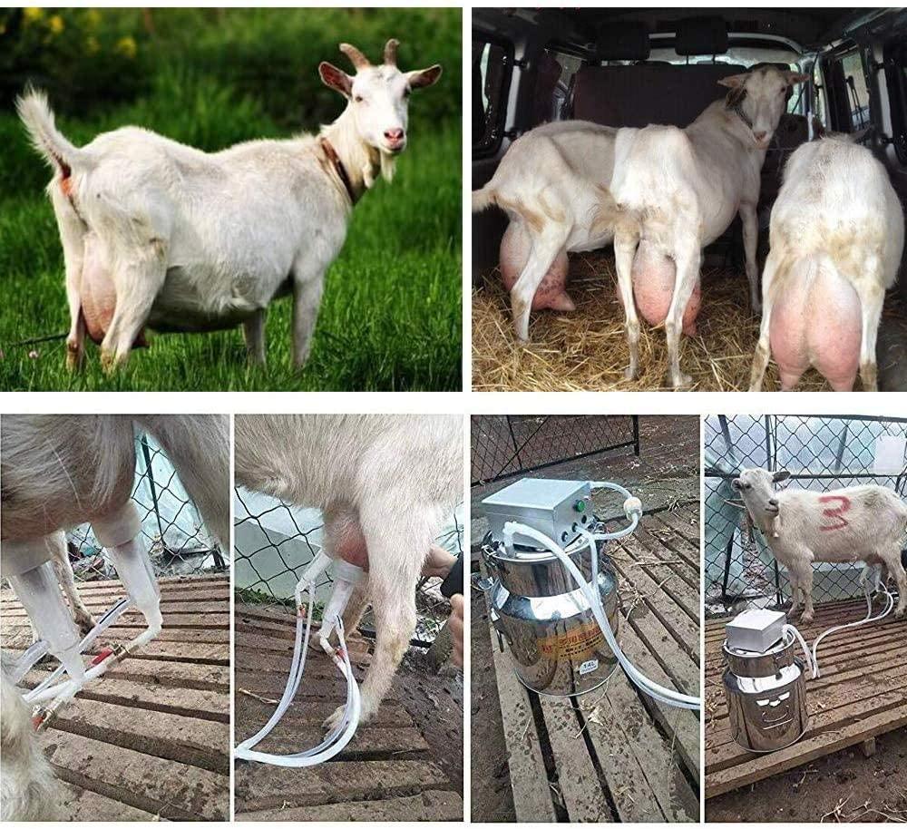 limeid milking machine kit for sheep portable electric milker milking machine, automatic portable livestock milking equipment, adjustable vacuum pump food silicone grade hose 14l,forgoats