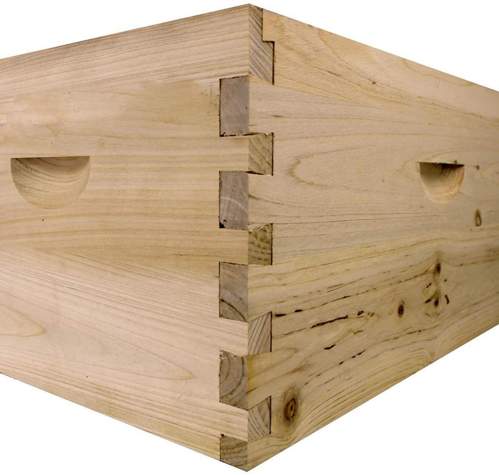 starter bee hive with frames &amp; wax coated foundations (nu8-1d1m)
