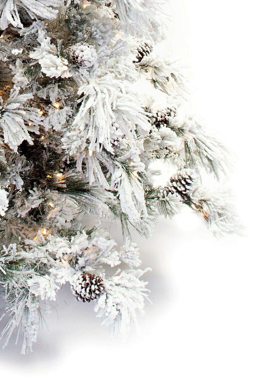 12' Flocked Pine Long Needle Prelit Artificial Christmas Tree