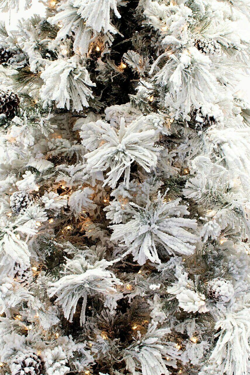 12' Flocked Pine Long Needle Prelit Artificial Christmas Tree