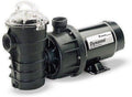 PENTAIR 340210 Dynamo Above Ground Swimming Pool Pump 1.5 Hp w/3' Cord 115V