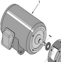 Pentair C218-180M 3-Phase Marathon Motor Replacement Pool and Spa Pump, 5 HP, 3600-RPM