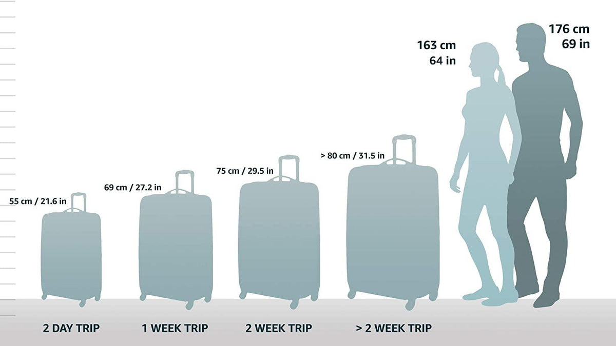 form Hardside Expandable with Double Spinner Wheels, Black, Carry-On 21-Inch