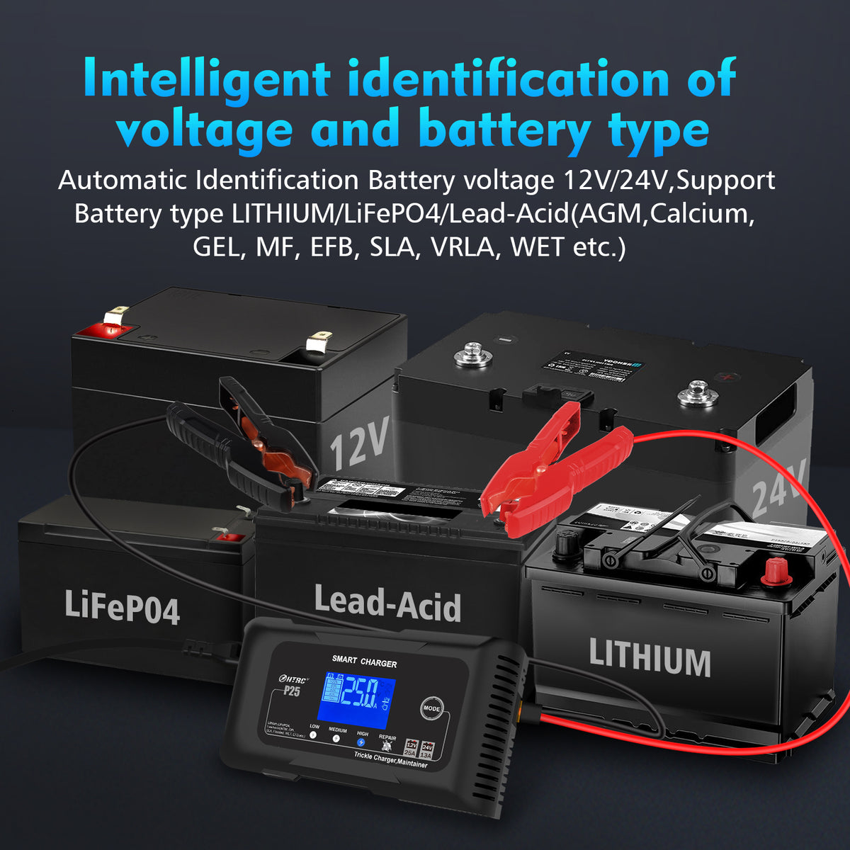 25 Amp Lithium Battery Charger, 12V And 24V Lifepo4,Lead-Acid(AGM/Gel/SLA) Battery Charger,Battery Maintainer, Trickle Charger, And Battery Desulfator
