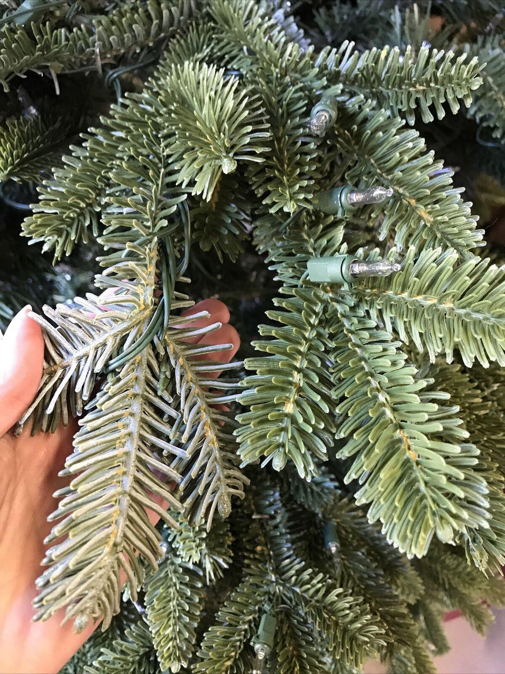 Open Box Balsam Hill Fraser Fir 6.5' Tree with Candlelight LED Lights Christmas