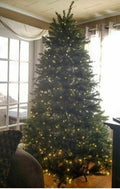 National Tree Company Pre-Lit Artificial Full Christmas Tree, Green, Dunhill Fir