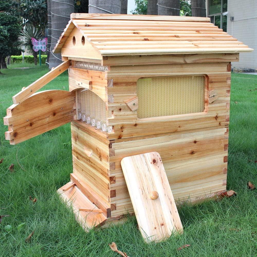 golden palace auto flow beehive 7pcs flow frame super box free flow frame (outer hive 7pcs flow frame set)